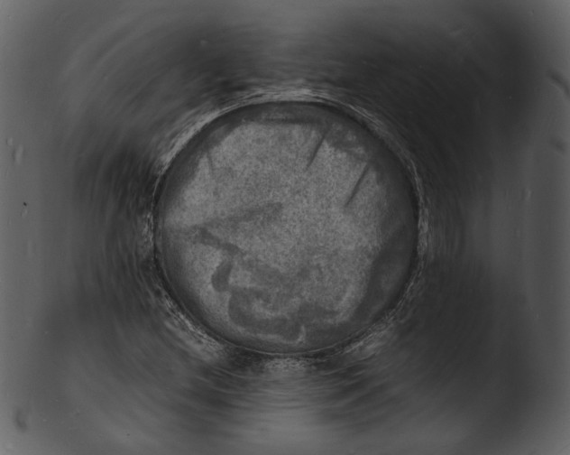 X0000103251212200809251343