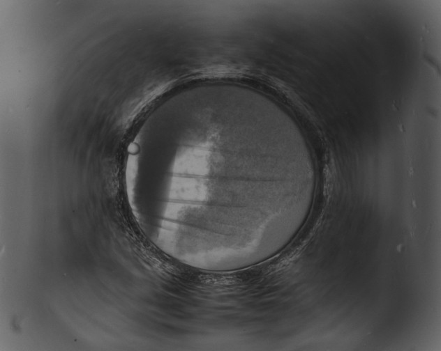 X0000103251213200809251343