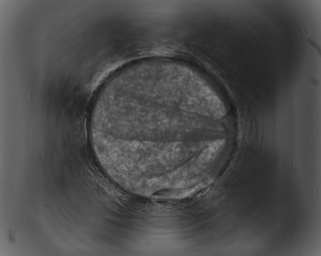 X0000103251214200809251343
