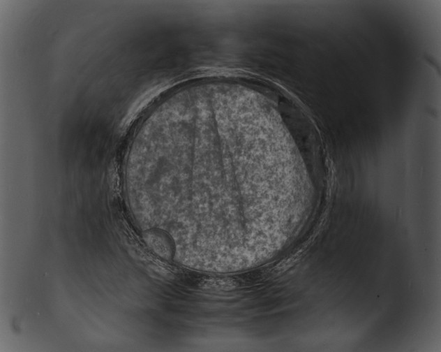X0000103251215200809251343