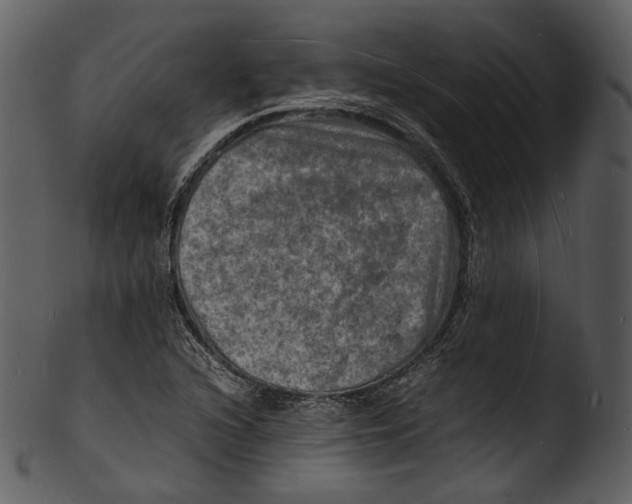 X0000103251216200809251343