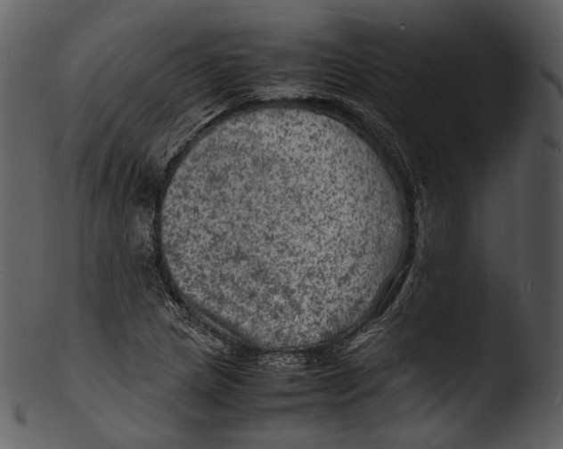 X0000103251217200809251343