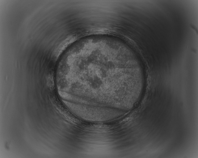 X0000103251218200809251343