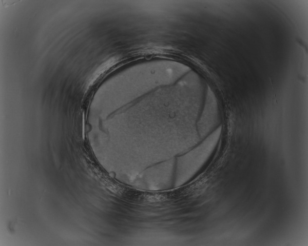 X0000103251219200809251343