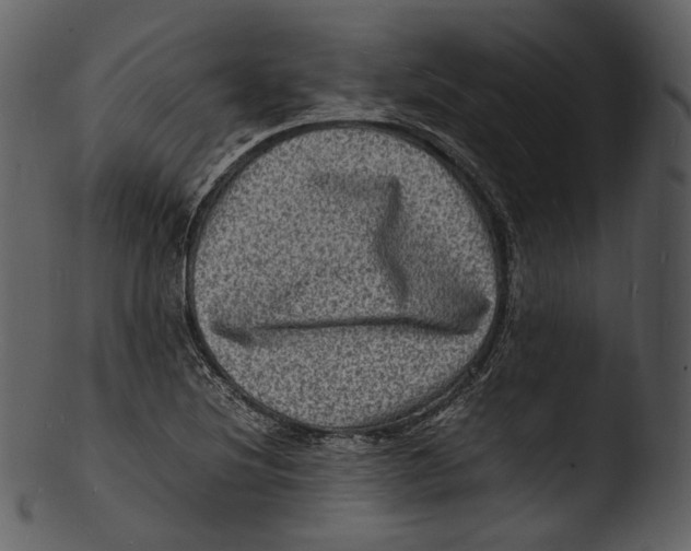 X0000103251220200809251343
