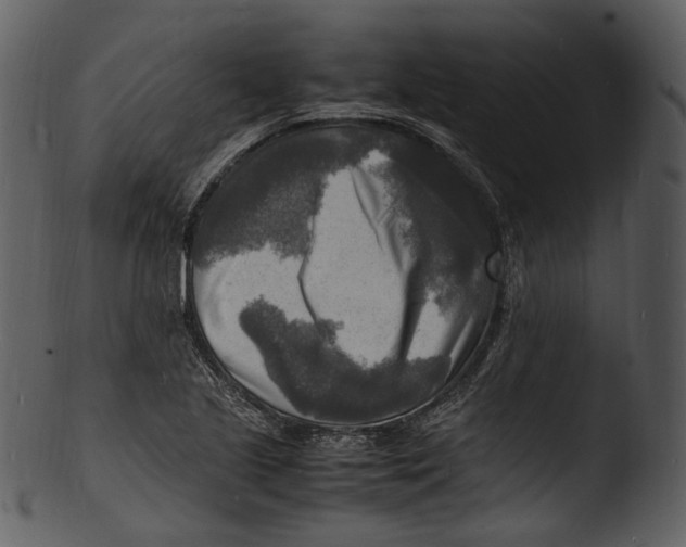 X0000103251221200809251343