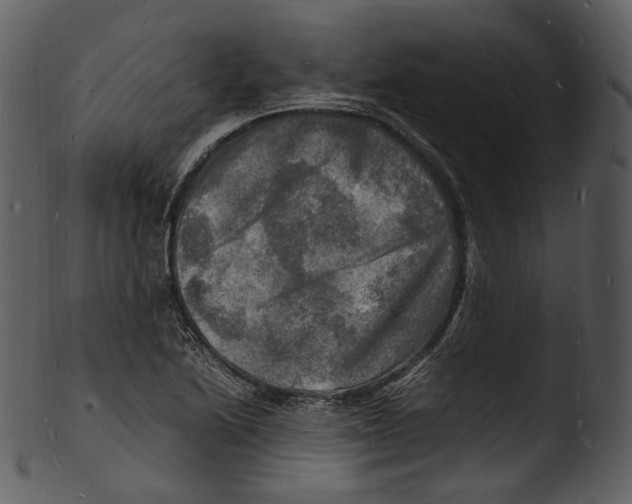 X0000103251222200809251343