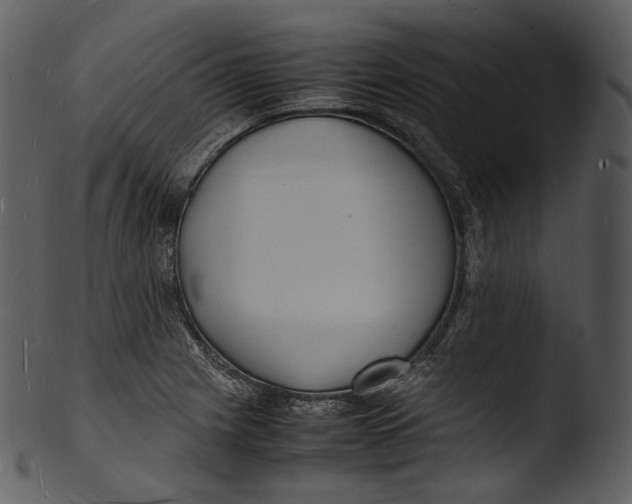 X0000103251225200809251343