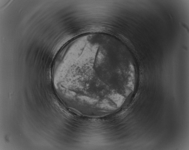 X0000103251226200809251343