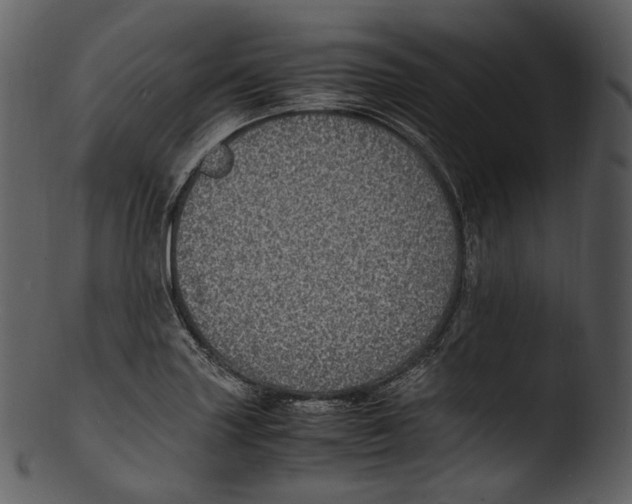 X0000103251227200809251343