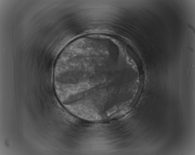 X0000103251228200809251343