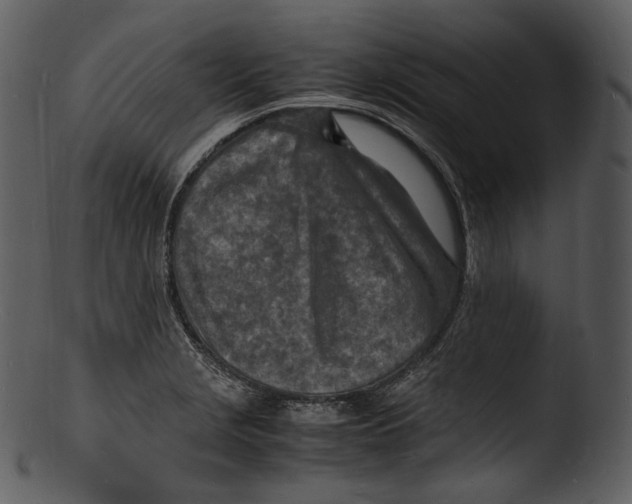 X0000103251229200809251343