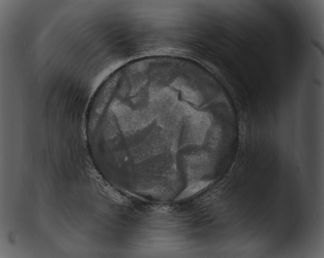 X0000103251230200809251343