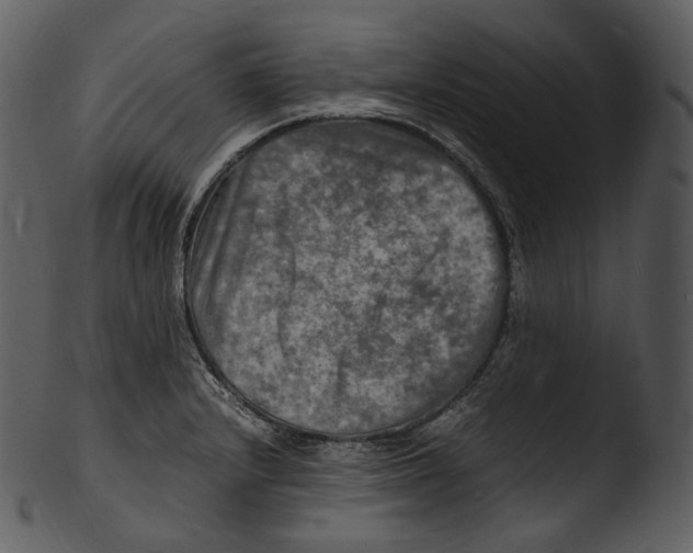 X0000103251232200809251343