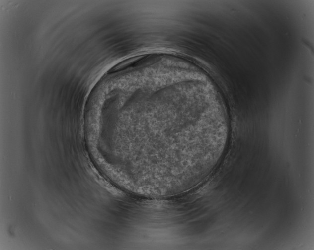 X0000103251236200809251343