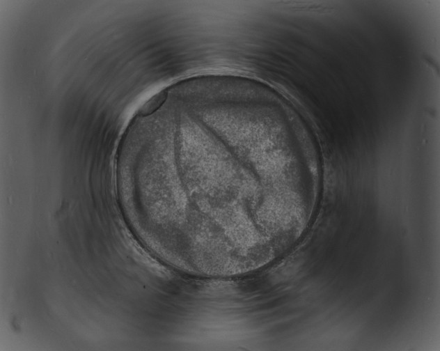 X0000103251238200809251343