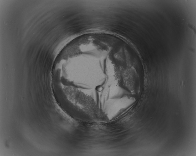 X0000103251239200809251343