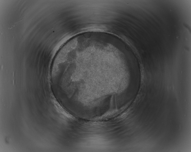 X0000103251240200809251343