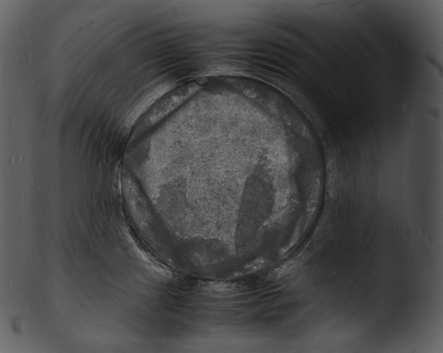 X0000103251241200809251343