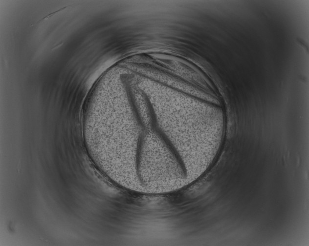 X0000103251242200809251343