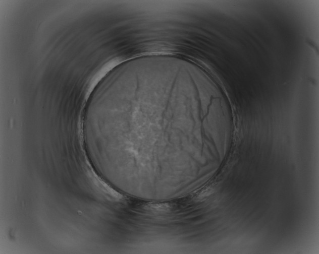 X0000103251243200809251343