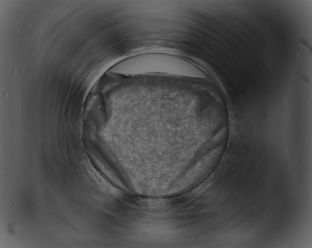 X0000103251244200809251343
