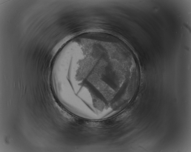 X0000103251245200809251343