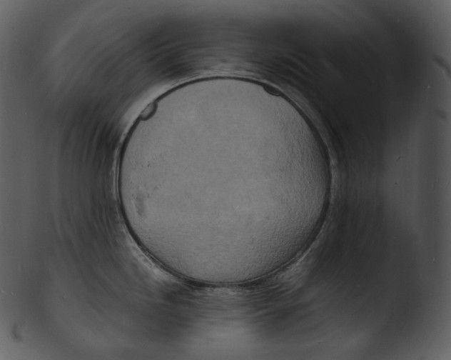 X0000103251246200809251343