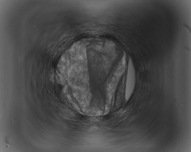 X0000103251251200809251343