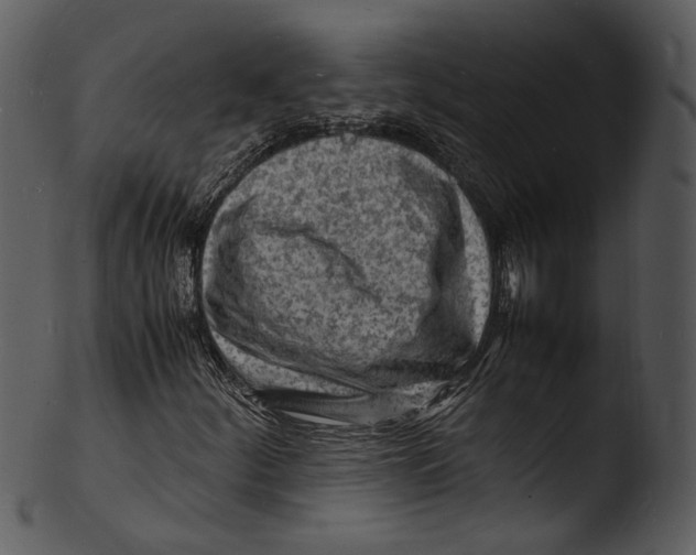 X0000103251252200809251343