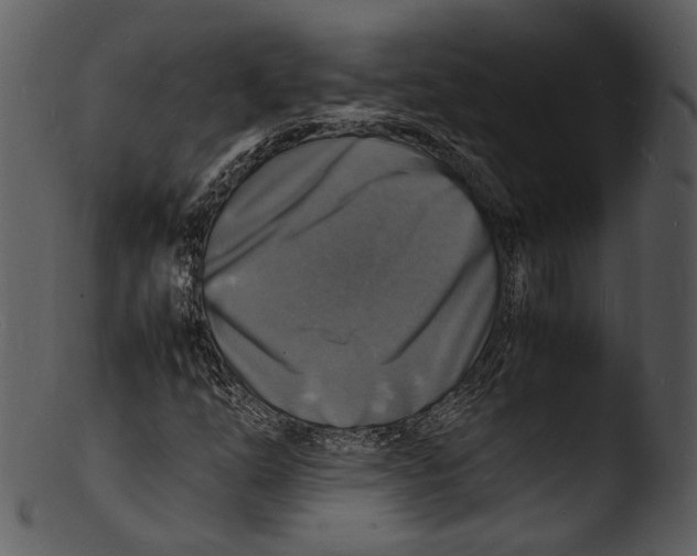 X0000103251254200809251343