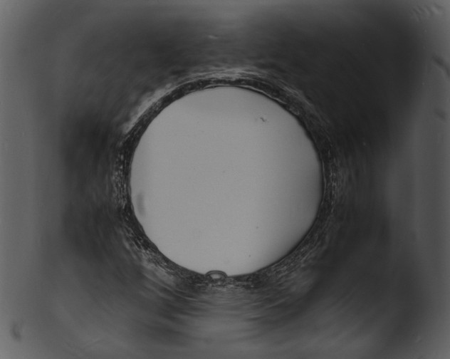 X0000103251256200809251343
