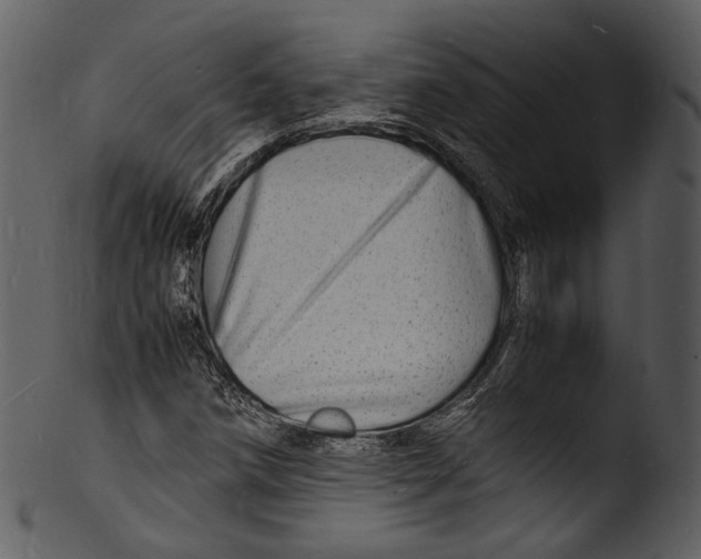 X0000103251258200809251343