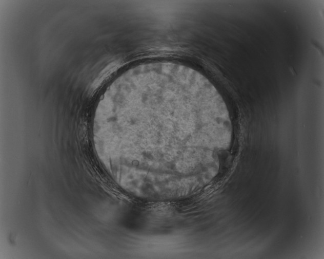X0000103251259200809251343