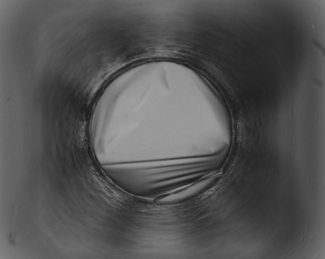 X0000103251260200809251343