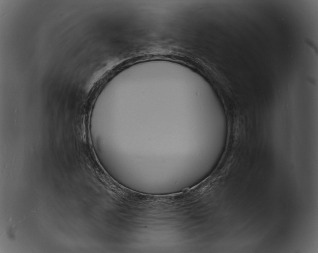 X0000103251262200809251342