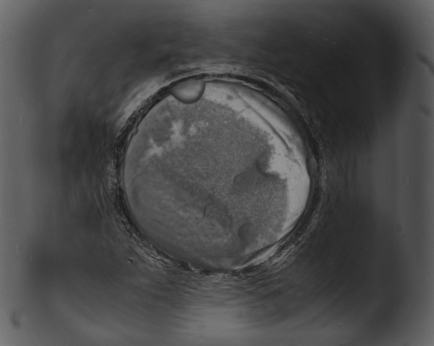 X0000103251263200809251342