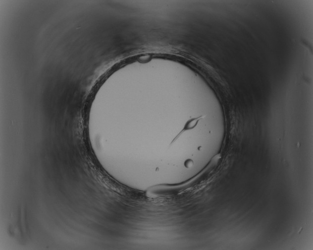 X0000103251264200809251342
