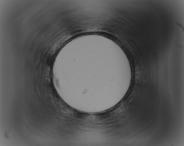 X0000103251265200809251342