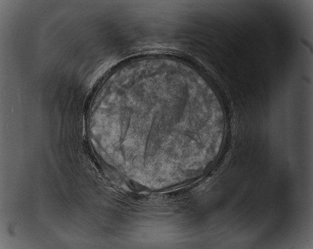 X0000103251267200809251342