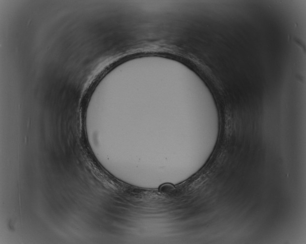 X0000103251270200809251342
