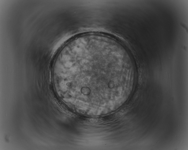 X0000103251271200809251342