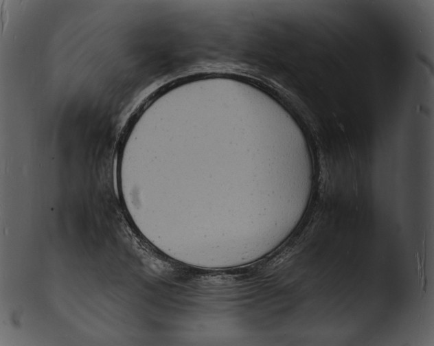 X0000103251272200809251342