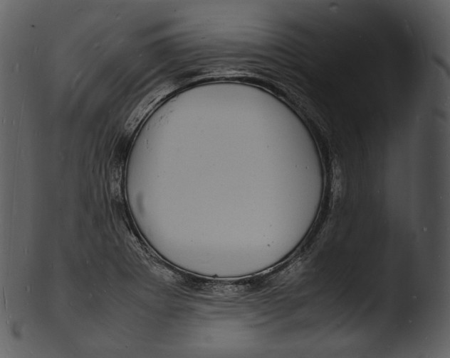 X0000103251273200809251342