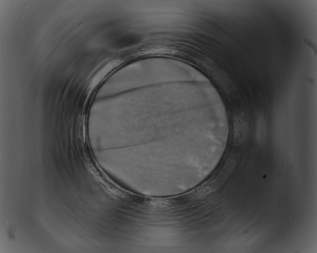 X0000103251274200809251342