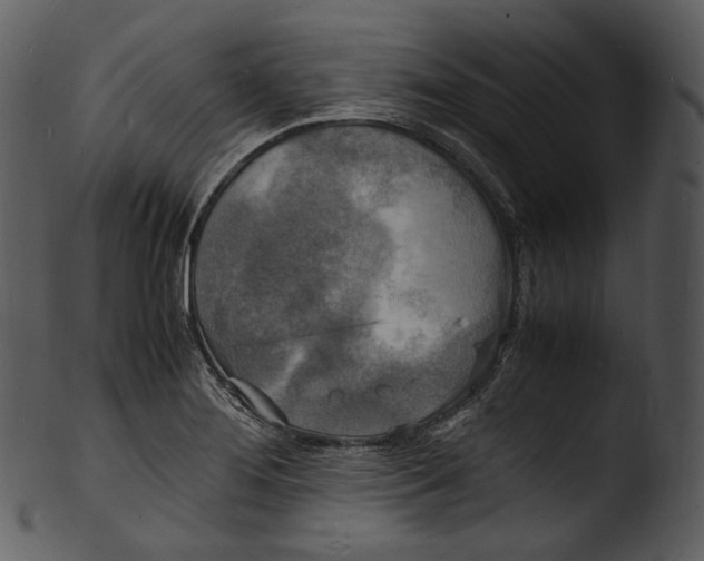 X0000103251276200809251342