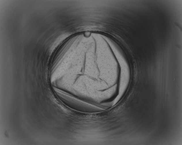 X0000103251277200809251342