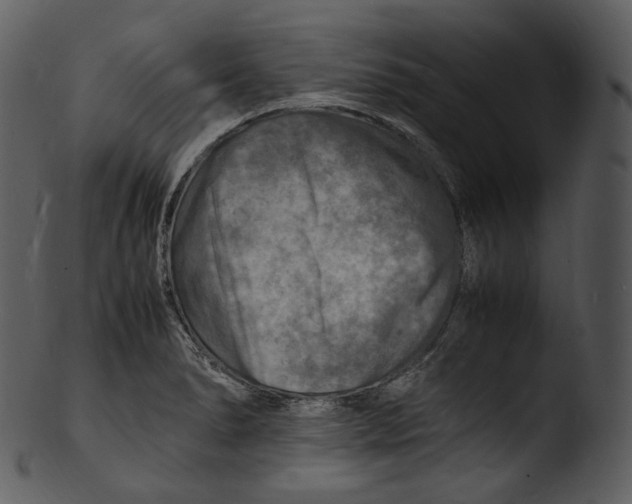 X0000103251278200809251342
