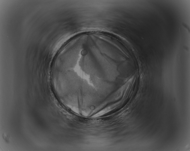 X0000103251279200809251342