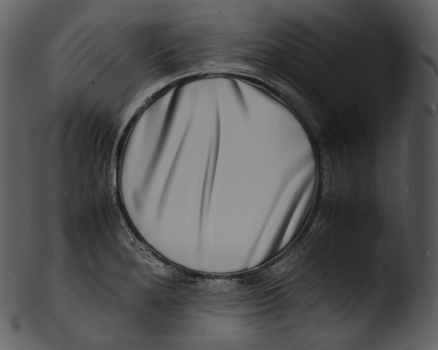 X0000103251280200809251342